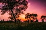 رمز إيزو