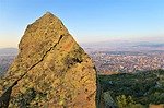 رمز الهاتف 864?
